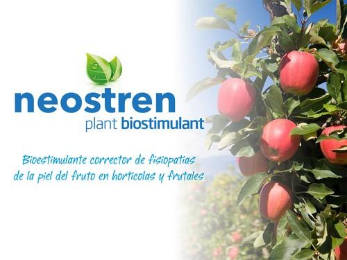 El nuevo bioestimulante vegetal neostren de LIDA Plant Research corrige las fisiopatías de la piel de los frutos en hortícolas y frutales