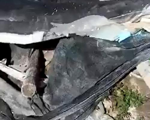 El fuerte viento provoca daños en invernaderos del Poniente
