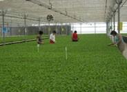 Agricultura reitera su apuesta por los jóvenes y garantiza que habrá un aumento en las ayudas para su incorporación al campo