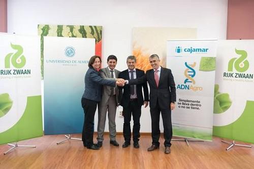 La UAL, Cajamar y Rijk Zwaan suscriben un convenio para fomentar la investigación científica