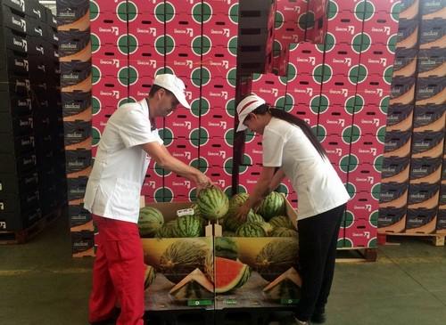 Alhóndiga La Unión prevé comercializar 60.000 toneladas de sandía y 11.000 de melón esta campaña