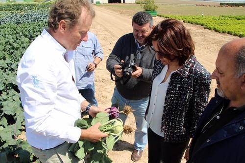 Murcia lidera la innovación en variedadades de frutas y hortalizas al aire libre en Europa