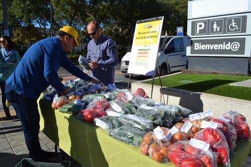 COAG denuncia el desplome en picado del precio del calabacín