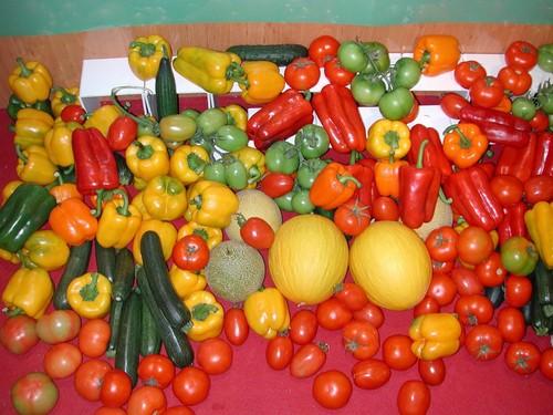 Agricultura solicita al Gobierno central ampliar hasta el 15 de mayo el plazo para pedir las ayudas de la PAC