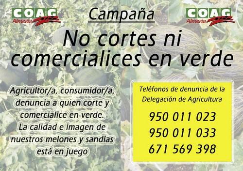 COAG insta a agricultores y consumidores a denunciar si detectan comercialización en verde
