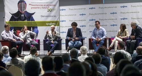 Syngenta pone todo su potencial innovador en el desarrollo de variedades de pimiento con resistencias a oídio, nematodos, mosca blanca y otros insectos