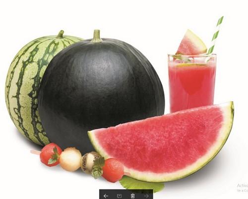 CASI promueve el consumo de sandía con su verano 'sandiástico'