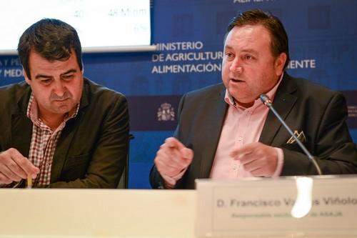  El desorden en la planificación comercial hunde los precios del calabacín