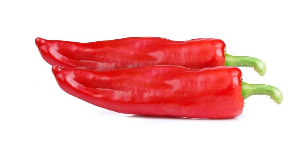 Los buenos resultados de Perotti lo convierten en la variedad de pimiento dulce italiano con mejores expectativas esta campaña