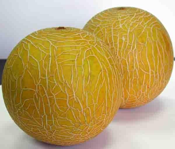La producción de melones aumenta un 40% gracias a la nanotecnología