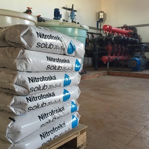 Nitrofoska® solub, solución integral en fertirrigación sin necesidad de mezclar diversos fertilizantes