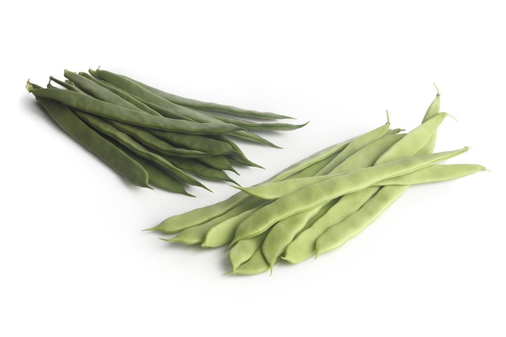 Faiza RZ, una judía  de color muy oscuro con unas excepcionales características organolépticas y nutricionales