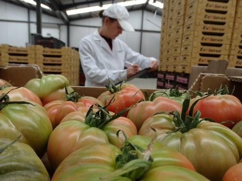 Ecoinver, a la vanguardia en la innovación en productos para seguir ampliando mercados