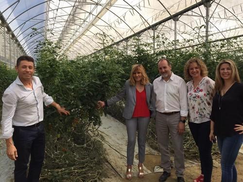 La Junta resalta que la producción ecológica pueda beneficiarse de las ayudas a los programas operativos de las OPFH