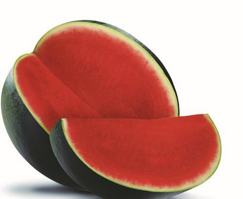 Semillas Fitó presenta la nueva sandía Leonor y el cantaloup Jacobo, ambos excepcionales en producción, calidad interna y sabor