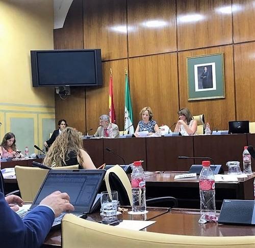 El PP pide a la Junta que dote de presupuesto el I Plan de Igualdad de Oportunidades entre hombre y mujeres del sector agroalimentario y pesquero