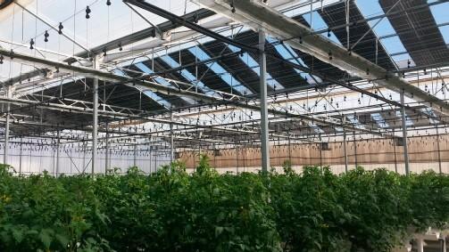La tecnología solar fotovoltaica en Almería tendría importantes efectos medioambientales y socio-económicos a escala regional y nacional