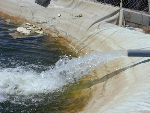 Los agricultores del Bajo Andarax preocupados por continuar sin agua para sus cultivos