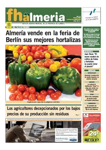 Nº 4- Enero 2008