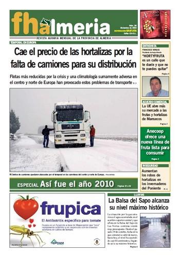 Nº 36 - Diciembre 2010