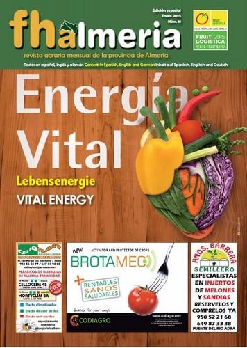 Nº 81 - Enero 2015