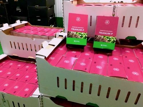 Koppert ofrece con TRIANUM® un fungicida biológico de máxima protección contra los patógenos del suelo