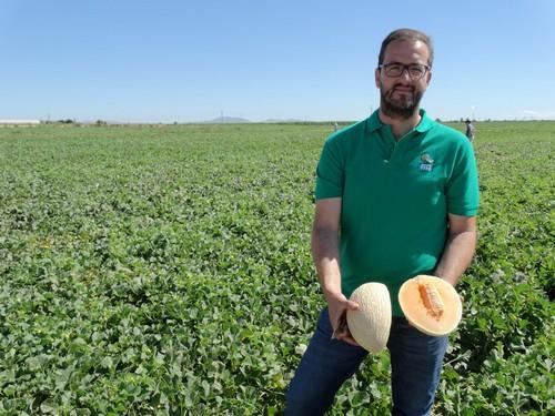 “En Semillas Fitó intentamos cubrir todas las necesidades de nuestros clientes en todas las tipologías de melón”