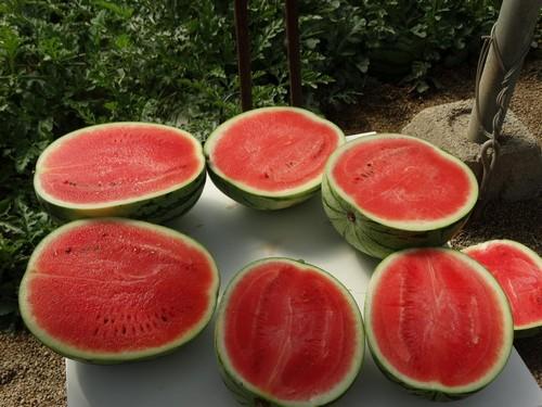 La investigación genética, factor clave para poner a disposición del consumidor más frutas y de mayor calidad