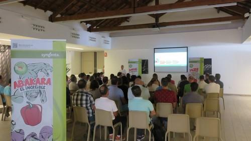 Syngenta pone todo su potencial innovador en el desarrollo de variedades de pimiento con resistencias a oídio, nemátodos, mosca blanca y otros insectos