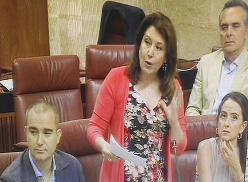El PP denuncia la falta de compromiso de la Junta para solucionar el problema del agua en el Bajo Andarax