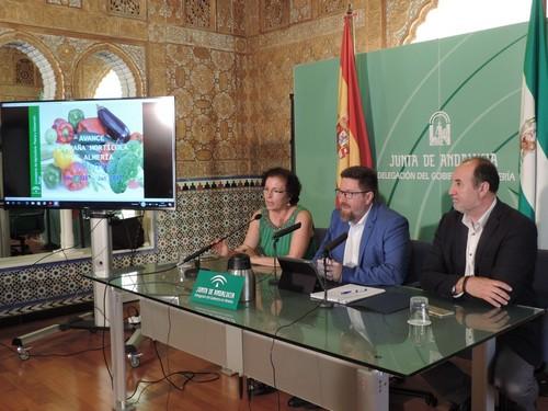 La berenjena, el producto con más incremento en el valor en origen alcanzando los 133 millones de euros en 2016-2017