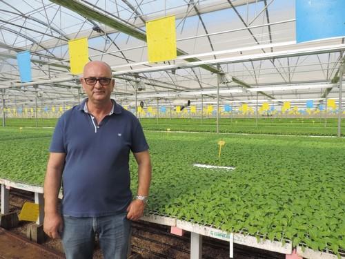 “En Semillero Campoejido trabajamos todos  los cultivos con las mismas garantías”