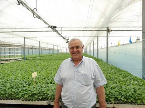 Semilleros Laimund, a pleno rendimiento ofreciendo la máxima calidad y una experiencia de décadas