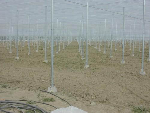Los gastos de amortización del agricultor superaron los 12.000 euros por hectárea