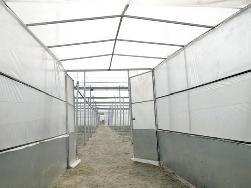 Invernaderos Gaitán aumenta un 20 por ciento su volumen de trabajo este año