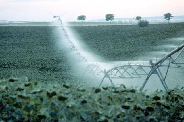 Agricultura impulsará la mejora de los regadíos con 96,1 millones de euros