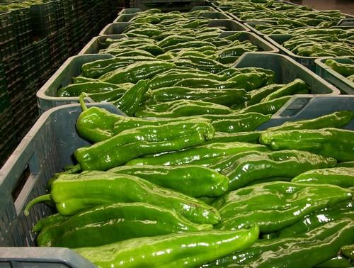 Las exportaciones agroalimentarias a Italia crecen un 68,9% y la sitúan como segundo destino de la producción andaluza