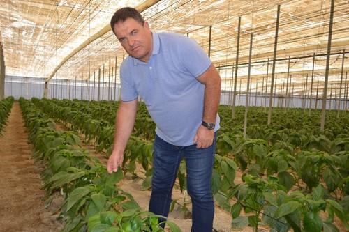 COAG recuerda que el seguro agrario es la garantía de renta de los agricultores
