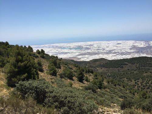 El Ayuntamiento de El Eijdo recuerda a la Junta la necesidad de poner en marcha el Sistema Integrado de Gestión para el plástico agrícola