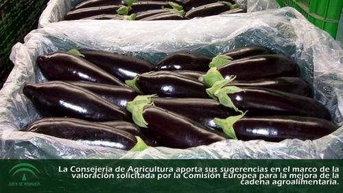 Andalucía plantea a la Unión Europea la necesidad de una legislación que evite las prácticas comerciales desleales