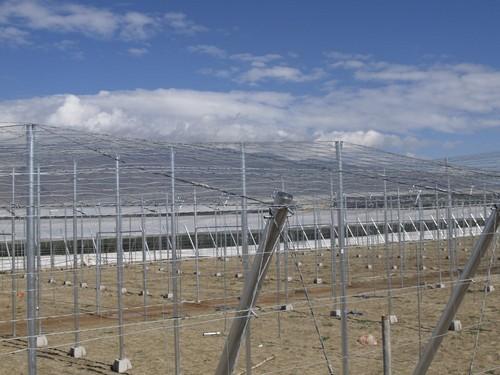 COAG urge a Agricultura para que pague las ayudas pendientes de jóvenes, modernización e invernaderos