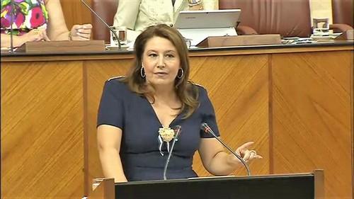 Crespo defiende en el Parlamento un Pacto Andaluz por el Agua para buscar soluciones a los problemas hídricos de Almería