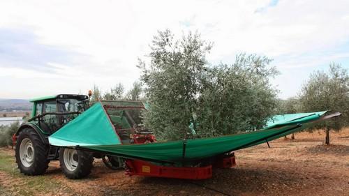 La transmisión del conocimiento, hilo conductor de la actividad de Infoagro