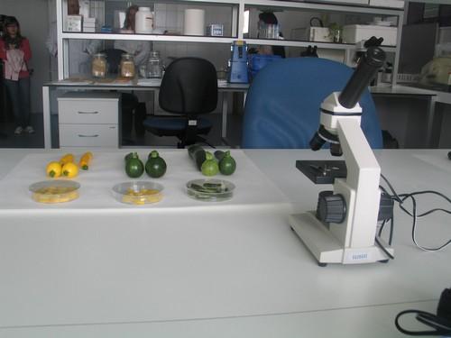 La agricultura almeriense sigue alimentando a Europa gracias a su constante esfuerzo y apuesta por la I+D+i