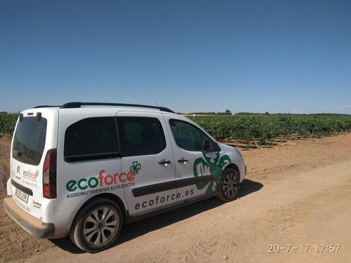 ECOFORCE relaciona rendimiento de los cultivos a la calidad de los suelos