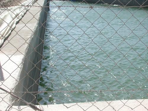 El problema del agua es el problema
