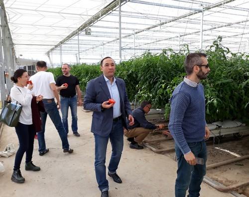 Cuatro empresas agrícolas almerienses participan en un encuentro comercial de Extenda en Kazajistán