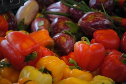 Las exportaciones agroalimentarias almerienses sumaron 1.844 millones de euros hasta julio
