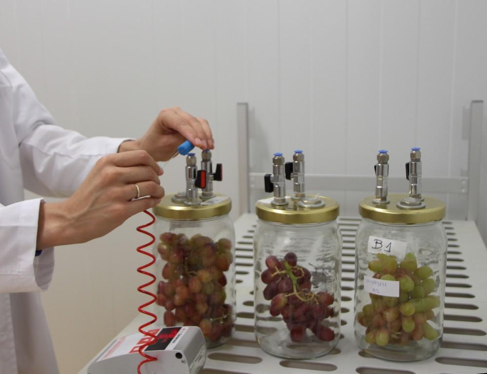 El CT Tecnova está desarrollando un sistema predictivo que determinará la fecha límite de comercialización del producto en destino