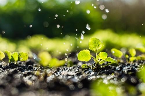 Fenacore aboga por la cesión temporal de agua como una de las principales medidas para paliar la sequía